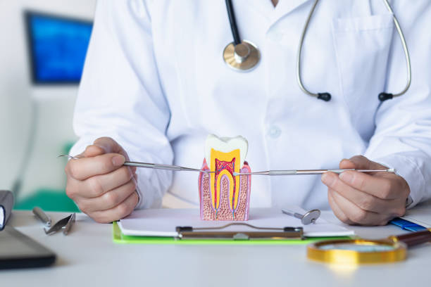 Best Knocked-Out Tooth Emergency  in Sylacauga, AL